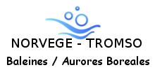 Kayak norvege baleines Kayak avec baleines